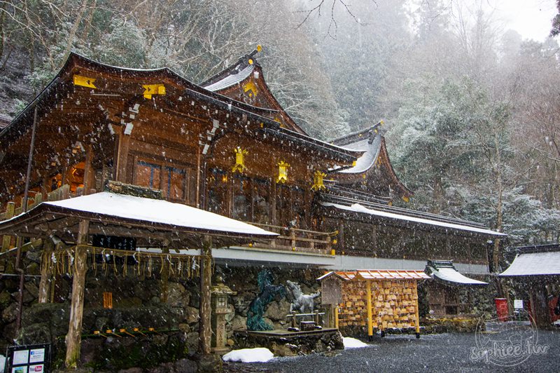 京都旅遊▎鞍馬寺貴船神社。冬季京都浪漫首選地（含交通資訊）