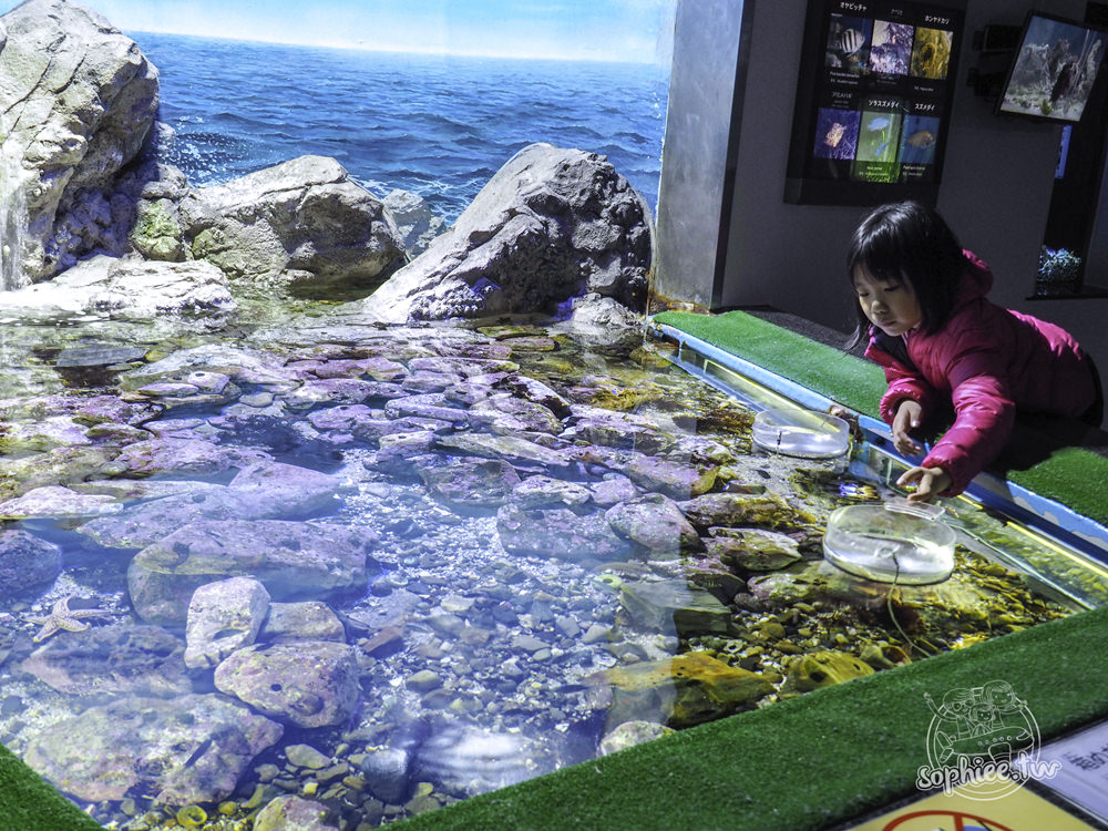 名古屋景點︱親子遊必訪 名古屋港水族館。票價、導覽及交通攻略