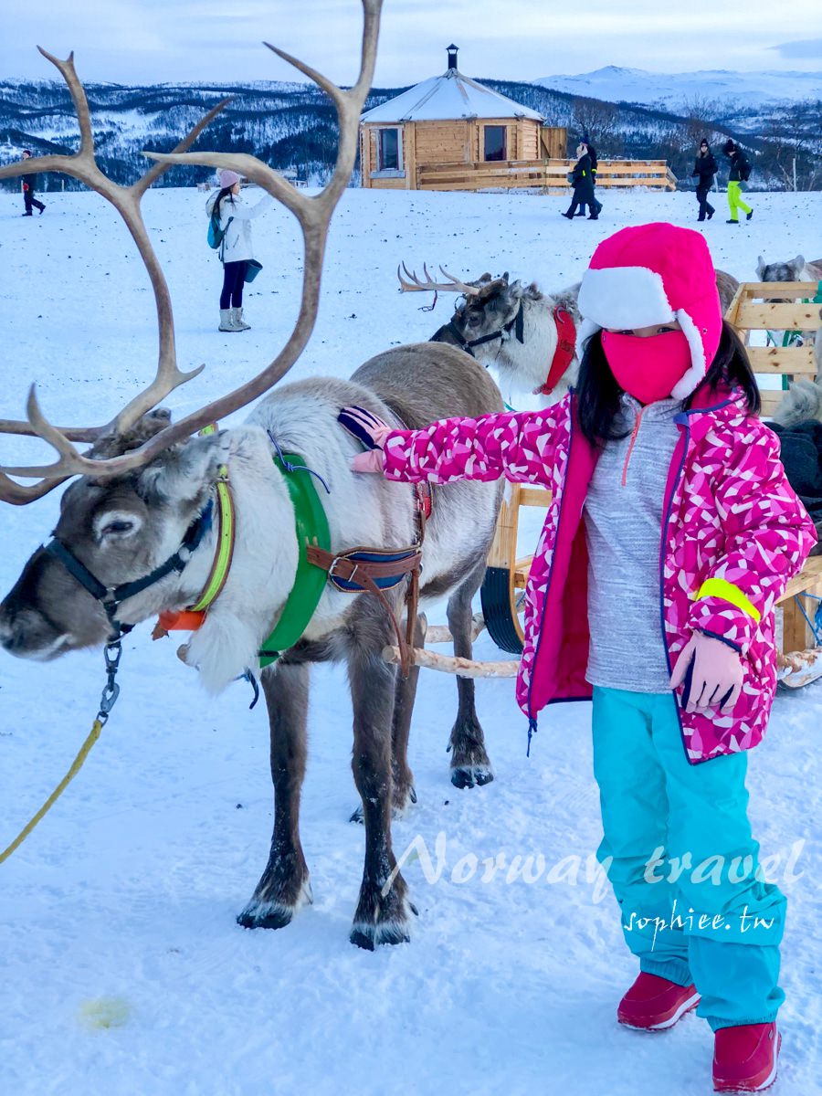 挪威極光旅遊∣狗拉雪橇 馴鹿拉雪橇 不能錯過的雪地體驗在特羅姆瑟！