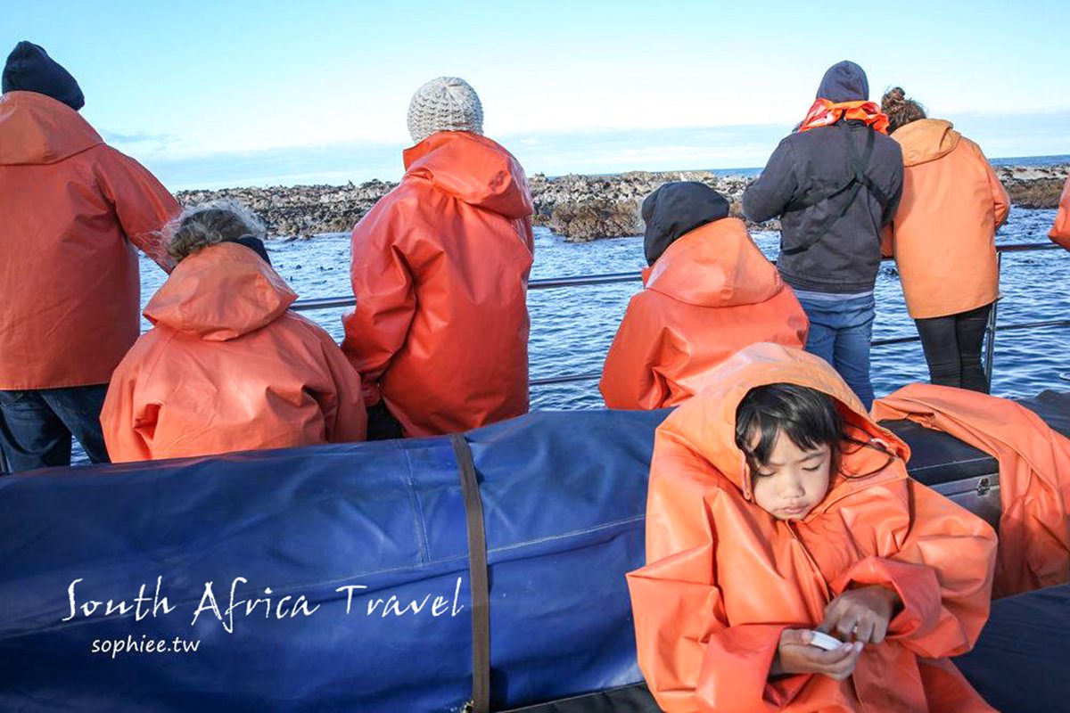 南非開普敦旅遊︳出海賞鯨 乘風破浪探訪海上五霸！