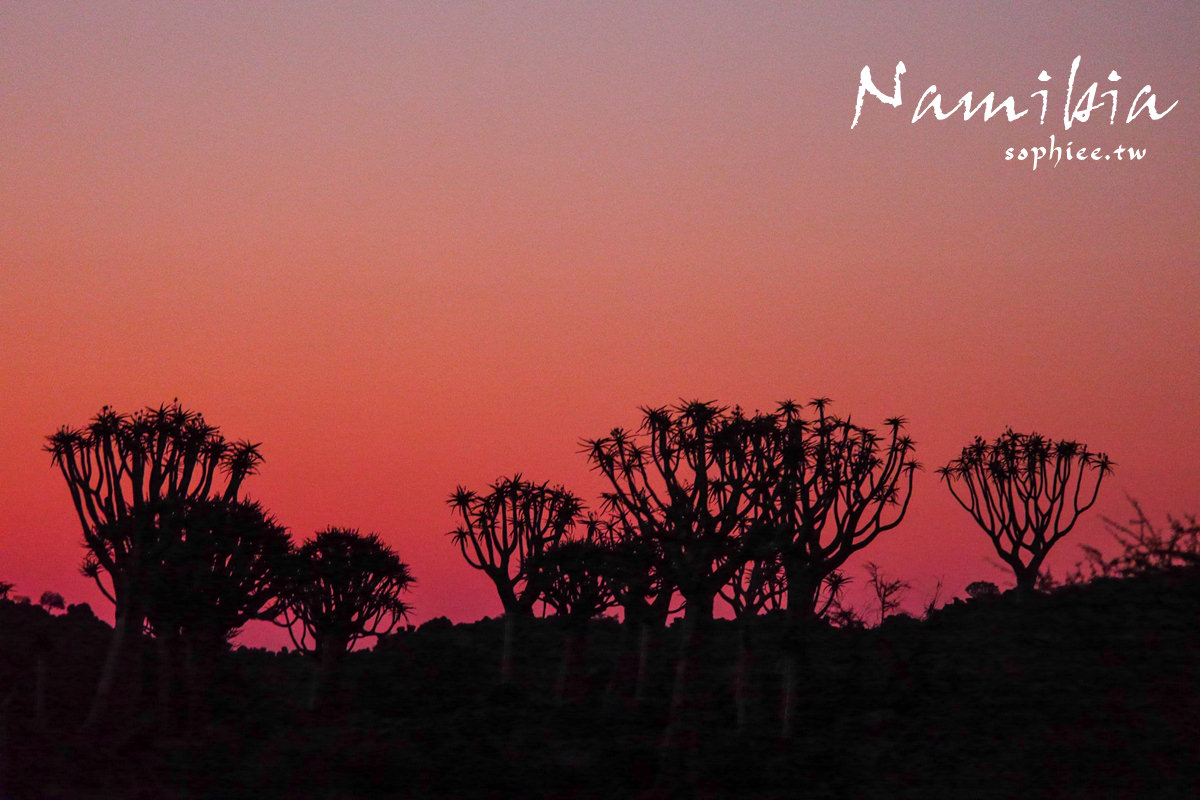 納米比亞旅遊∣探索非洲自由行攻略，行程規畫安排懶人包！