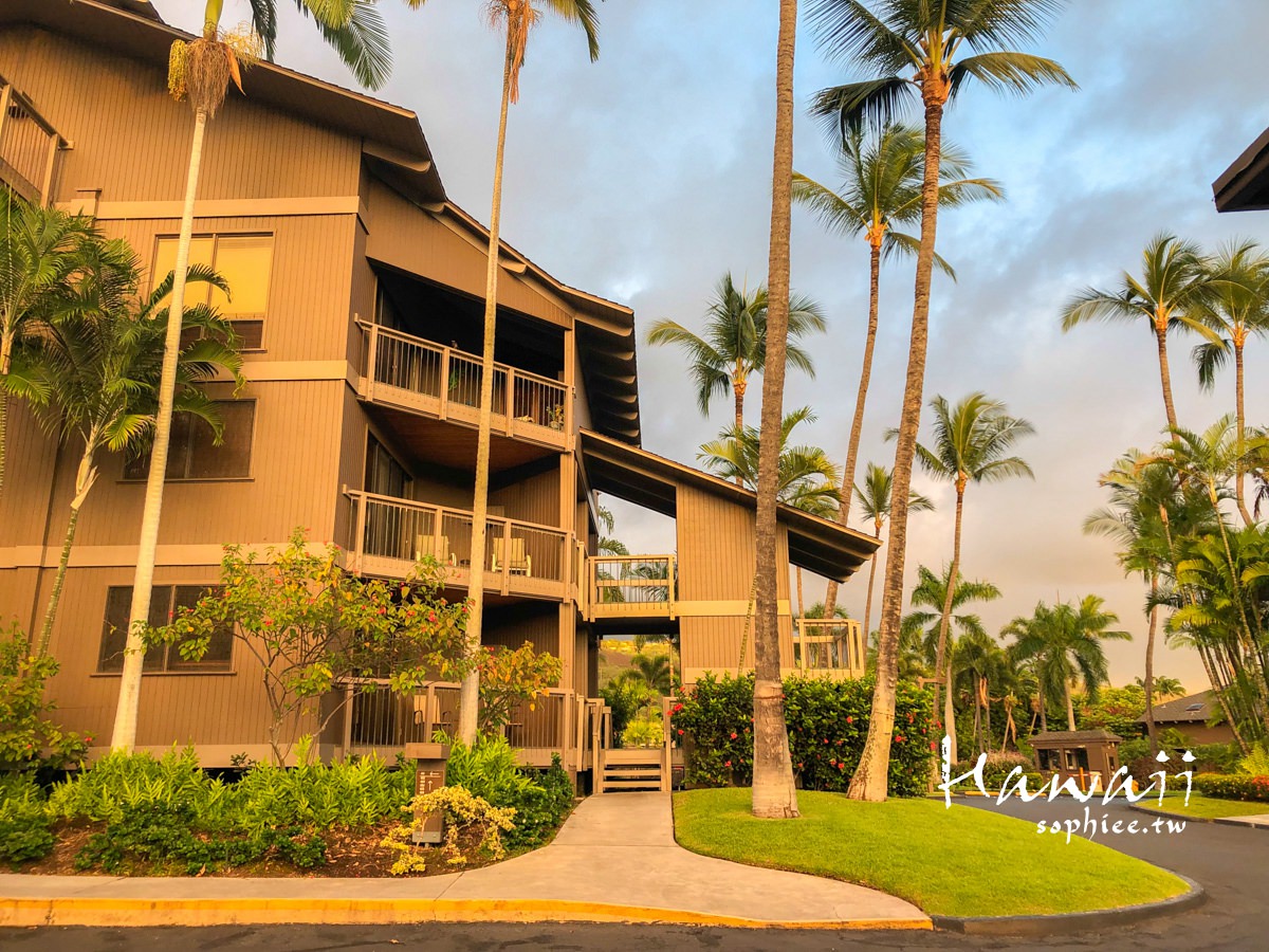 夏威夷大島住宿推薦∣柯納海邊公寓。獨棟大空間 泳池SPA 一分鐘到海灘！