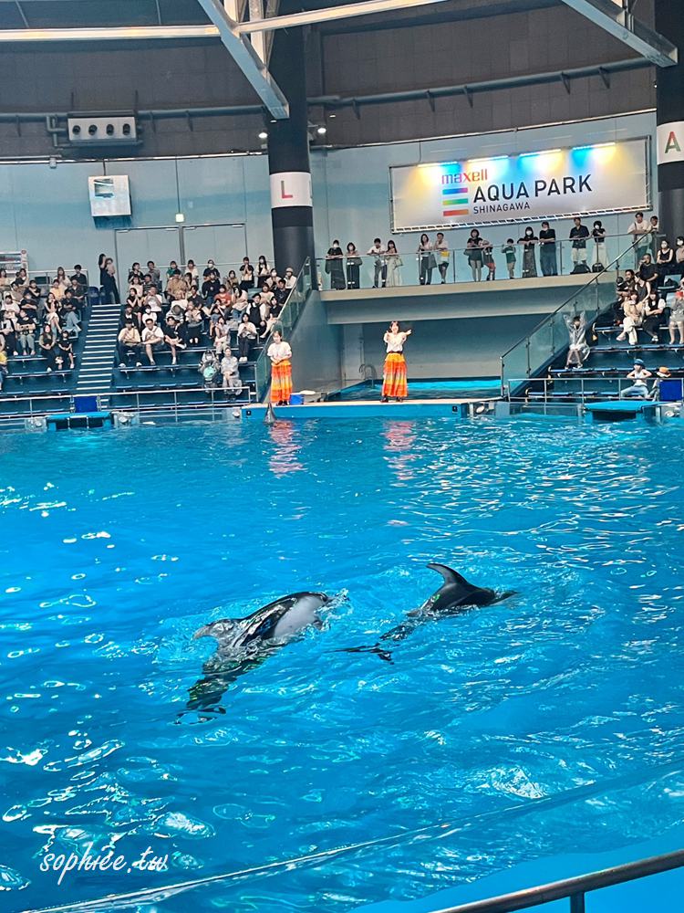東京親子景點》Maxell Aqua Park Shinagawa品川水族館 結合聲光效果的華麗海豚表演　門票優惠 交通方式 表演時間一次看！