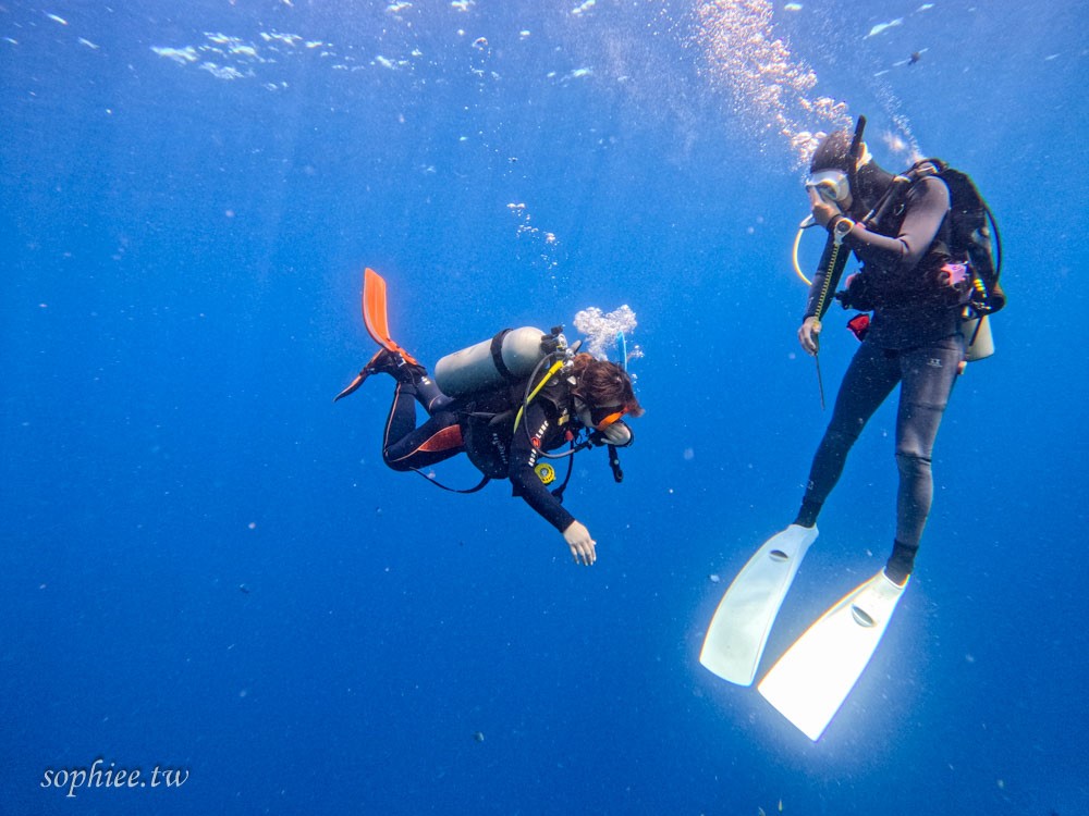 菲律賓 薄荷島 宿霧 潛水考照 海島瘋 水肺潛水