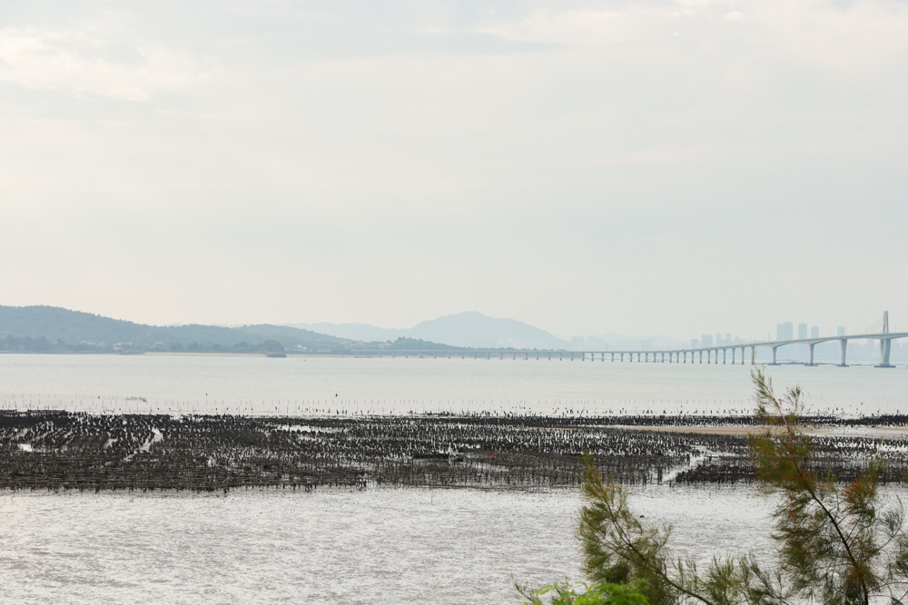 金門住宿推薦》海豚灣II館海景民宿 一間走路就能到全聯及海邊的新民宿！