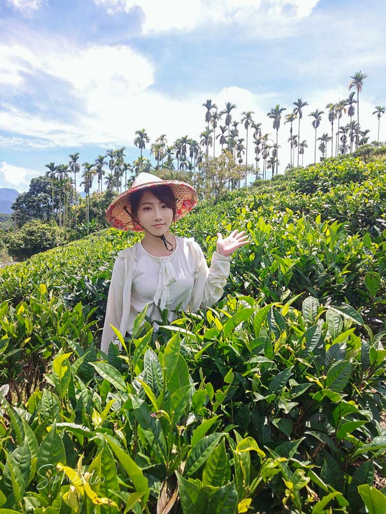 南投埔里兩天一夜小旅行 埔里旅遊 埔里二日遊 來趟深度旅遊體驗 好玩好吃景點美食懶人包！