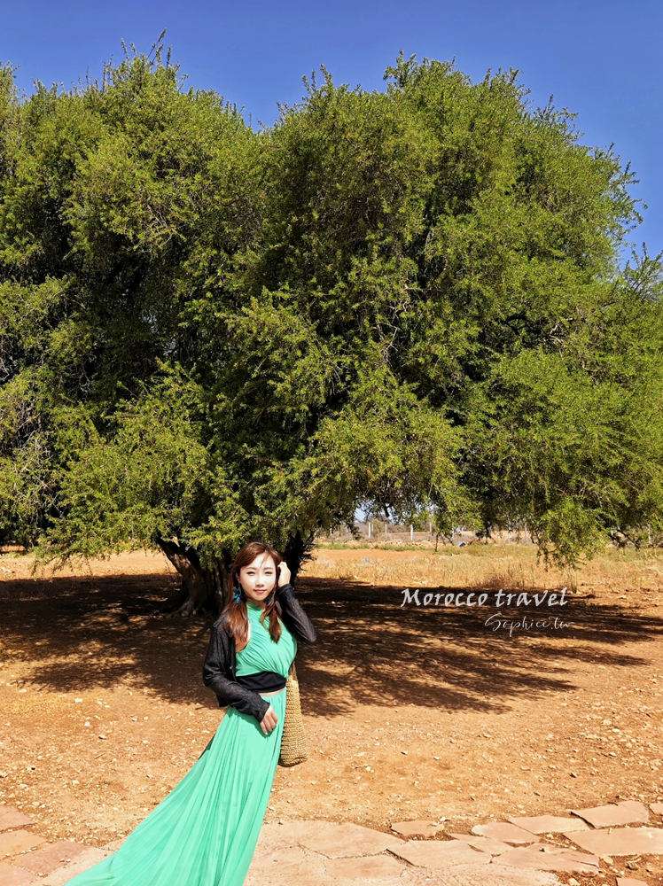 北非摩洛哥旅遊 15天行程全紀錄 跟著「百合旅行社」深度旅行夢幻國度! 北非摩洛哥旅遊 15天行程全紀錄 跟著「百合旅行社」深度旅行夢幻國度!