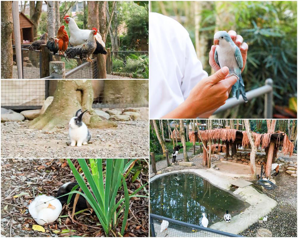 南投魚池夢幻住宿3JD Home二館》森林Villa × 寵物友善 × 一泊三食泡湯賞星超放鬆,享受專屬你的世外桃源! 南投魚池夢幻住宿3JD Home二館》森林Villa × 寵物友善 × 一泊三食泡湯賞星超放鬆,享受專屬你的世外桃源!