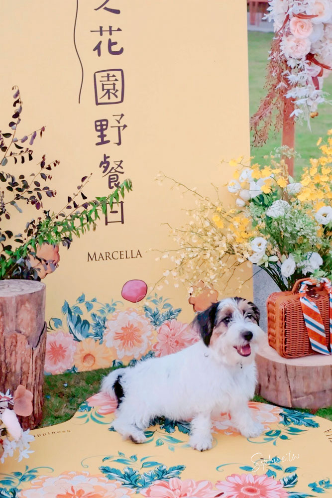 瑪莎拉手工餅舖 花園野餐日X冬季新品上市—台中伴手禮推薦 秒殺酥 手工餅乾 來一場法式午茶時光吧〜 瑪莎拉手工餅舖 花園野餐日X冬季新品上市—台中伴手禮推薦 秒殺酥 手工餅乾 來一場法式午茶時光吧〜