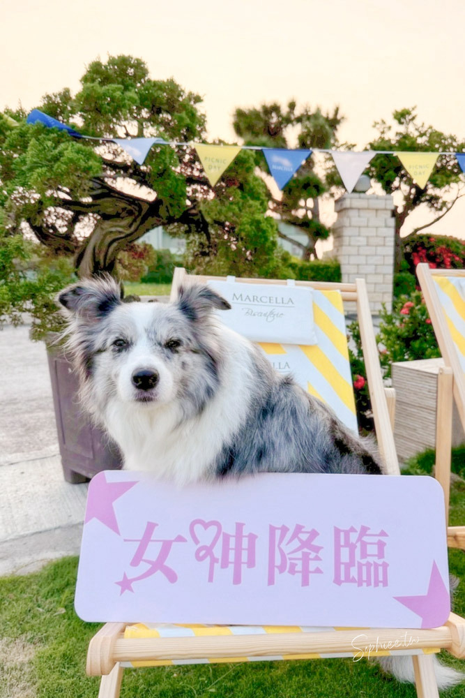 瑪莎拉手工餅舖 花園野餐日X冬季新品上市—台中伴手禮推薦 秒殺酥 手工餅乾 來一場法式午茶時光吧〜 瑪莎拉手工餅舖 花園野餐日X冬季新品上市—台中伴手禮推薦 秒殺酥 手工餅乾 來一場法式午茶時光吧〜