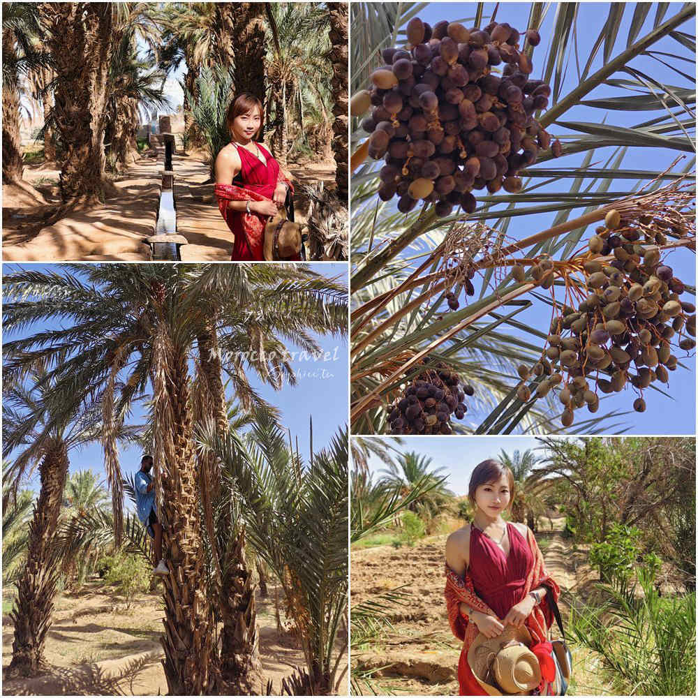 北非摩洛哥旅遊 15天行程全紀錄 跟著「百合旅行社」深度旅行夢幻國度! 北非摩洛哥旅遊 15天行程全紀錄 跟著「百合旅行社」深度旅行夢幻國度!