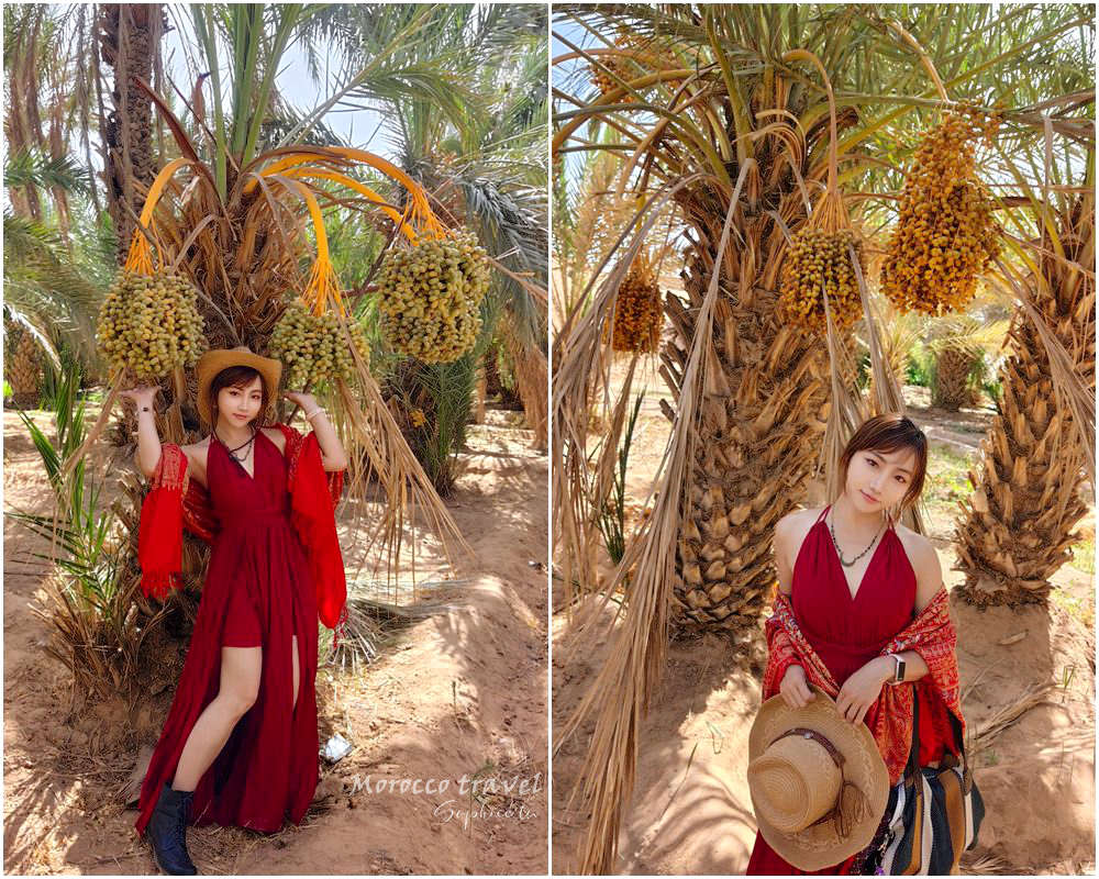 北非摩洛哥旅遊 15天行程全紀錄 跟著「百合旅行社」深度旅行夢幻國度！