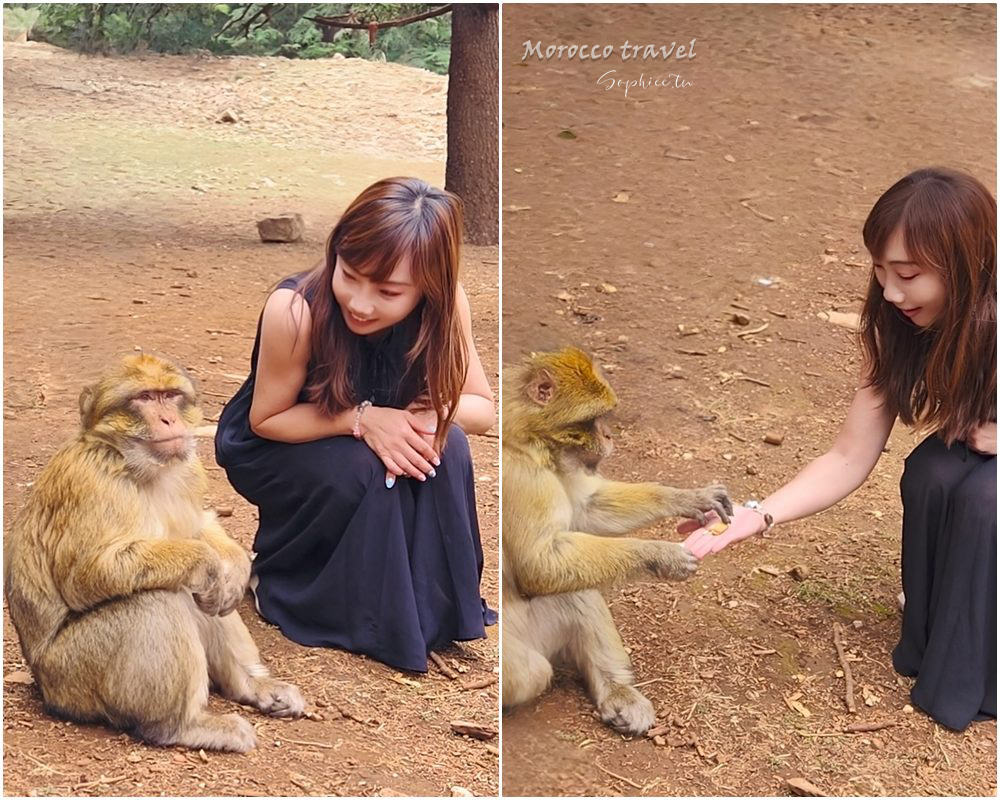北非摩洛哥旅遊 15天行程全紀錄 跟著「百合旅行社」深度旅行夢幻國度! 北非摩洛哥旅遊 15天行程全紀錄 跟著「百合旅行社」深度旅行夢幻國度!