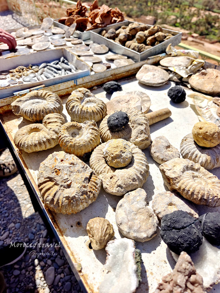 北非摩洛哥旅遊 15天行程全紀錄 跟著「百合旅行社」深度旅行夢幻國度！