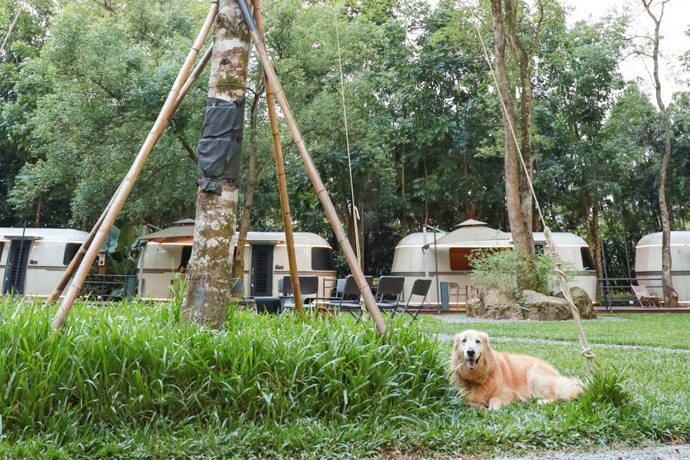 南投魚池夢幻住宿3JD Home二館》森林Villa × 寵物友善 × 一泊三食泡湯賞星超放鬆,享受專屬你的世外桃源! 南投魚池夢幻住宿3JD Home二館》森林Villa × 寵物友善 × 一泊三食泡湯賞星超放鬆,享受專屬你的世外桃源!