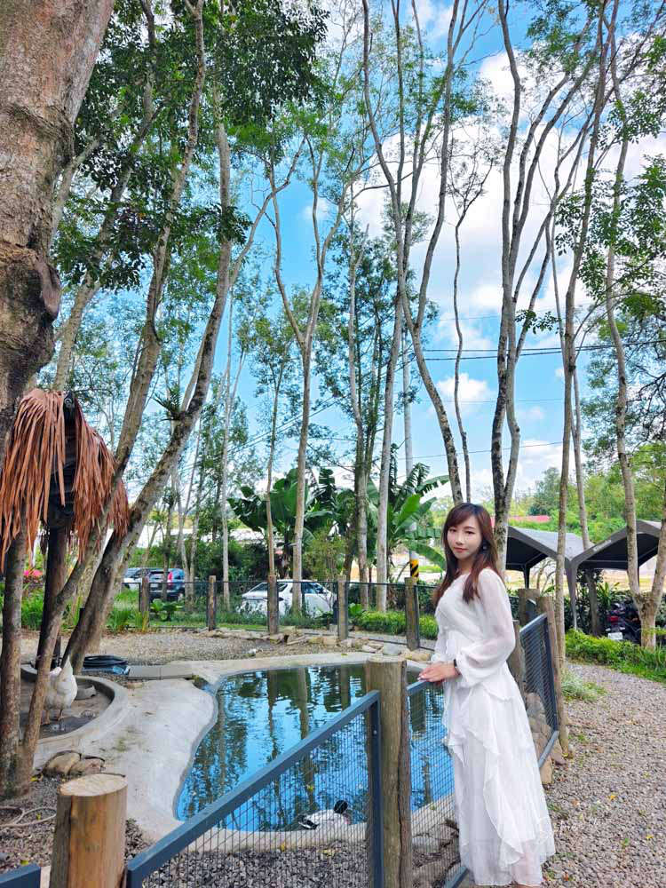 南投魚池夢幻住宿3JD Home二館》森林Villa × 寵物友善 × 一泊三食泡湯賞星超放鬆，享受專屬你的世外桃源！