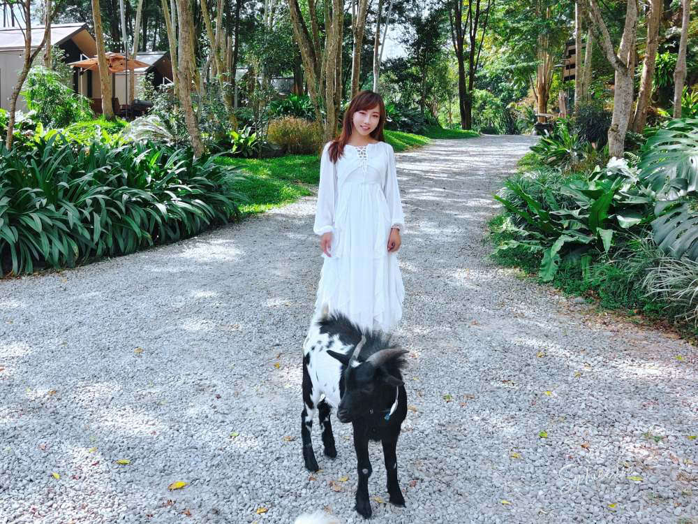 南投魚池夢幻住宿3JD Home二館》森林Villa × 寵物友善 × 一泊三食泡湯賞星超放鬆，享受專屬你的世外桃源！