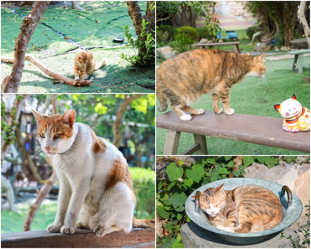 彰化親子景點》田中窯創藝園區 蜀葵花季開展 踏青賞景 捏陶彩繪 拓染玩貓 吃美食 今年春節就去走走! 彰化親子景點》田中窯創藝園區 蜀葵花季開展 踏青賞景 捏陶彩繪 拓染玩貓 吃美食 今年春節就去走走!