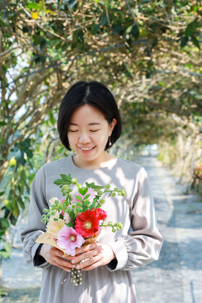 彰化親子景點》田中窯創藝園區 蜀葵花季開展 踏青賞景 捏陶彩繪 拓染玩貓 吃美食 今年春節就去走走! 彰化親子景點》田中窯創藝園區 蜀葵花季開展 踏青賞景 捏陶彩繪 拓染玩貓 吃美食 今年春節就去走走!