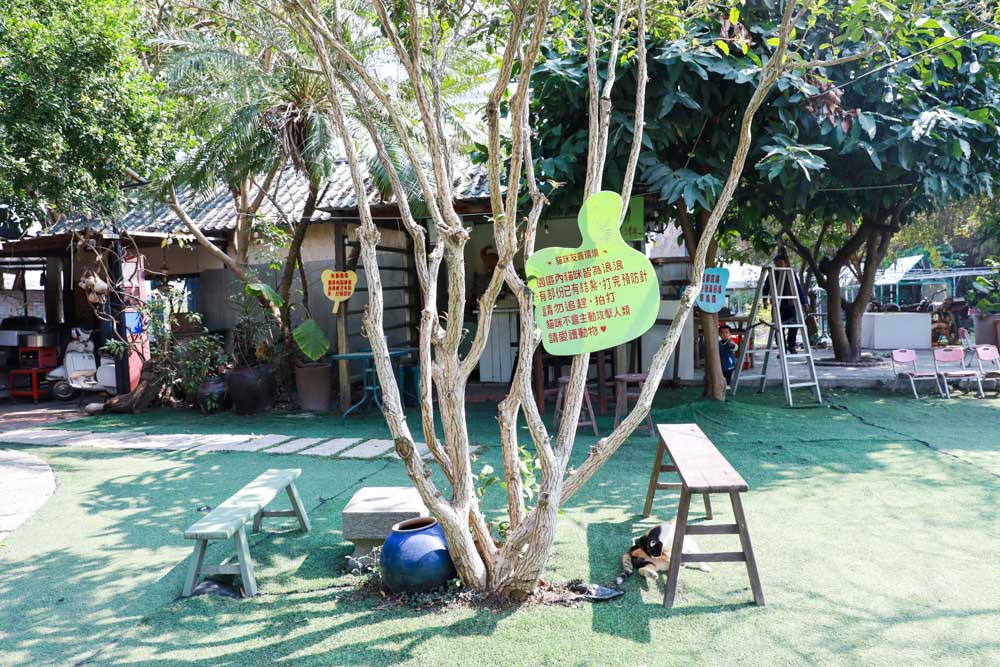 彰化親子景點》田中窯創藝園區 蜀葵花季開展 踏青賞景 捏陶彩繪 拓染玩貓 吃美食 今年春節就去走走！