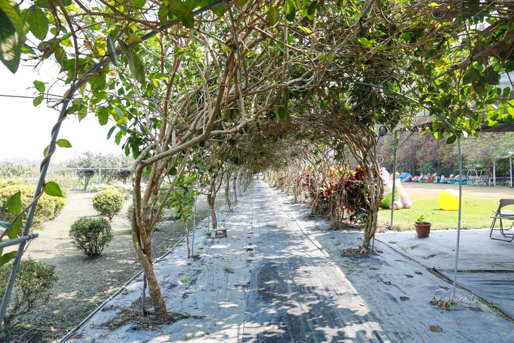 彰化親子景點》田中窯創藝園區 蜀葵花季開展 踏青賞景 捏陶彩繪 拓染玩貓 吃美食 今年春節就去走走! 彰化親子景點》田中窯創藝園區 蜀葵花季開展 踏青賞景 捏陶彩繪 拓染玩貓 吃美食 今年春節就去走走!