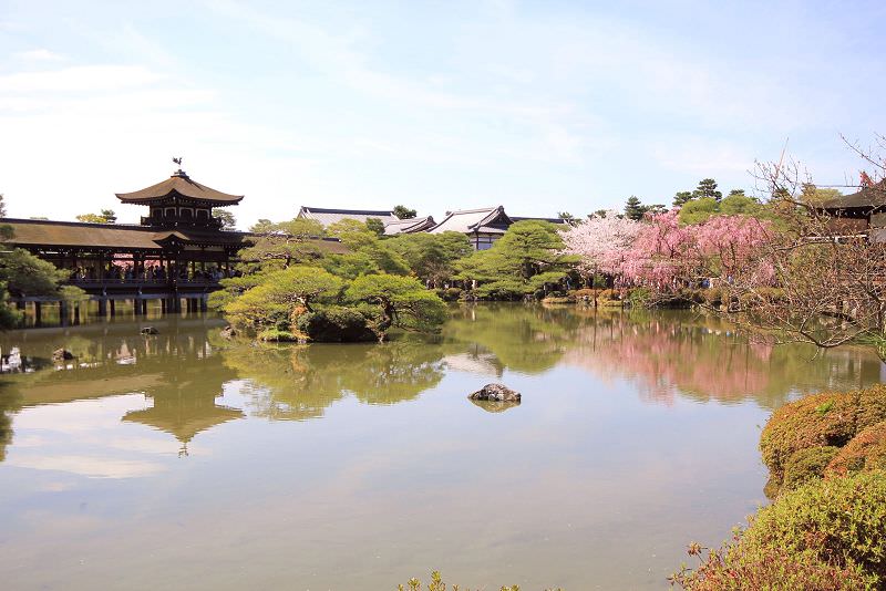 ［京都。賞櫻］平安神宮。皇室級的賞櫻景點