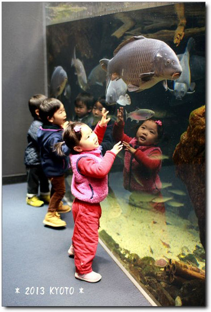 【2013KYOTO】躲雨。京都水族館（Kyoto Aquarium） @蘇菲漫旅