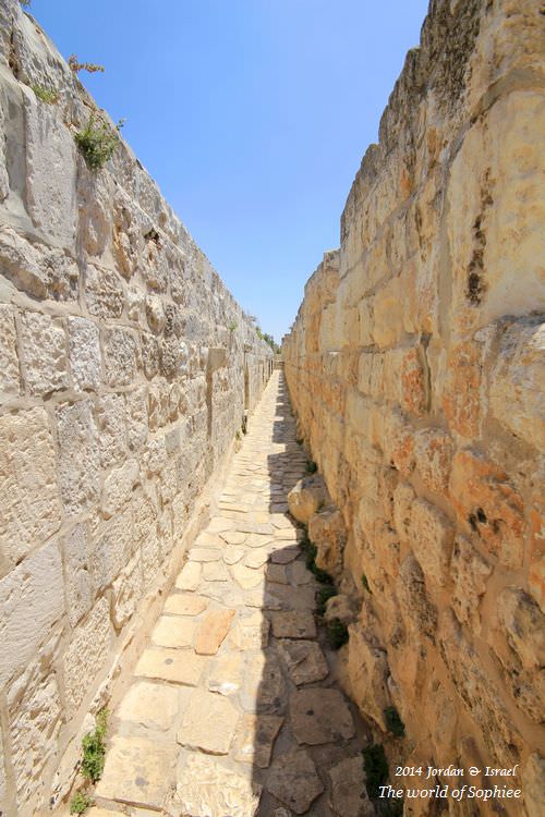 ﹝2014以約遊記﹞Israel。Ramparts Walk漫步古牆上！