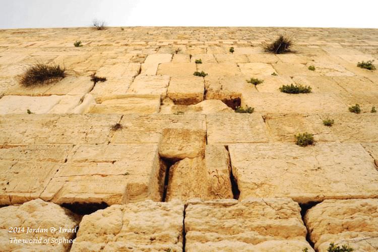 ﹝2014以約遊記﹞Israel。西牆（Western Wall）果然是哭牆！