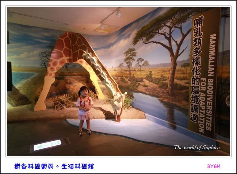 【台南】樹谷生活科學館。小小孩好去處！
