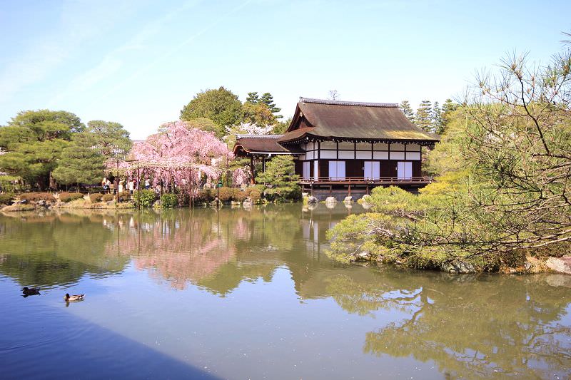 ［京都。賞櫻］平安神宮。皇室級的賞櫻景點