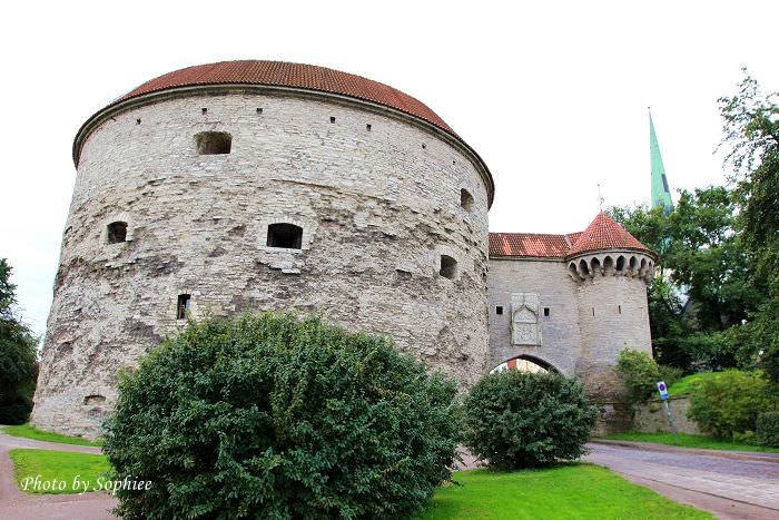 【波羅的海】愛沙尼亞。塔林古城（Tallinn, Estonia）：搭乘時光機來到中古世紀~